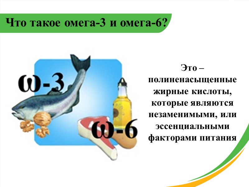 Что такое омега-3 и омега-6? Это – полиненасыщенные жирные кислоты, которые являются незаменимыми, или